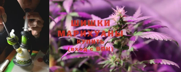 гидропоника Карталы
