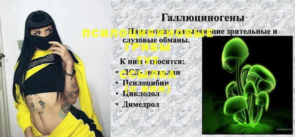 МДПВ Карпинск