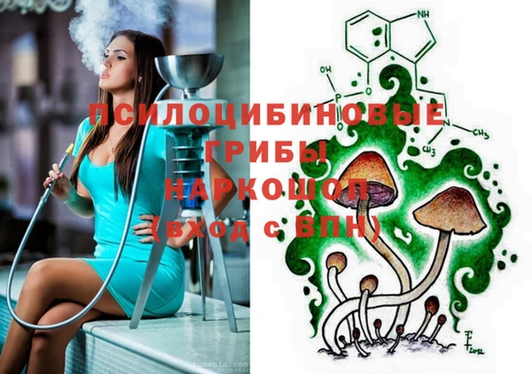 гидропоника Карталы