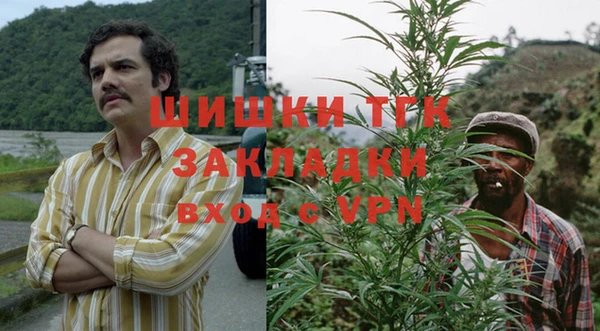 МДПВ Карпинск