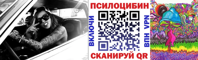 Купить закладки  Мегион  Галлюциногенные грибы Cubensis 